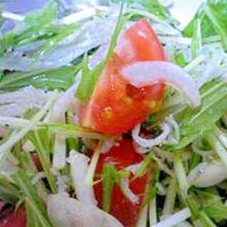 シラスと水菜の和風サラダ